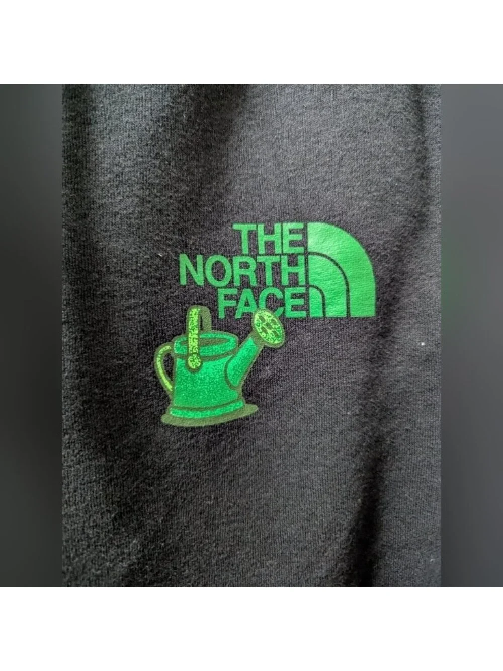 The North Face Crown Shyness Black Hoodie Plant Lover Unisex Mens XS Women S/M